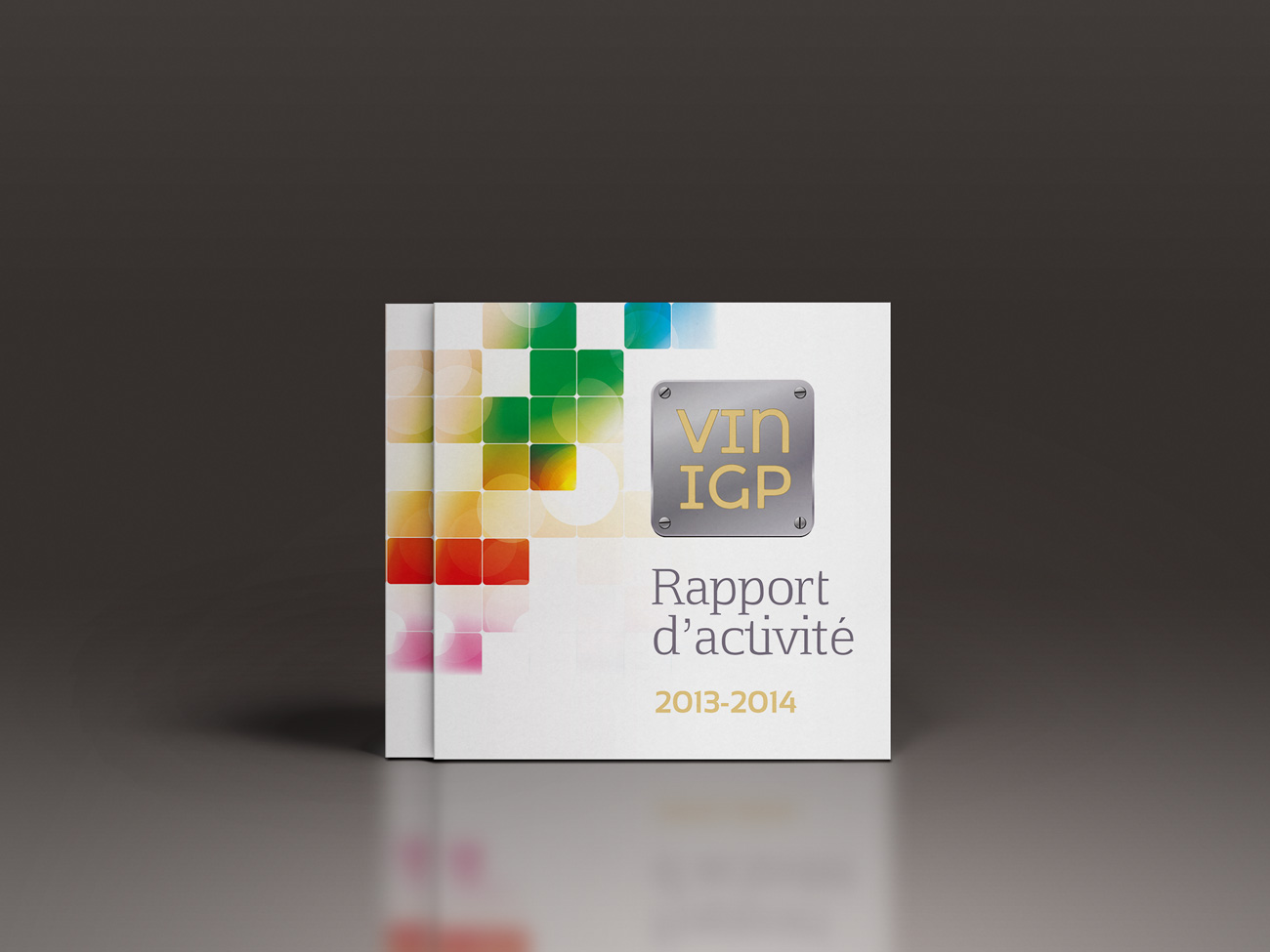 Rapport d'activités 2014 Vin IGP